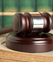 Suspendisse arcu nisl